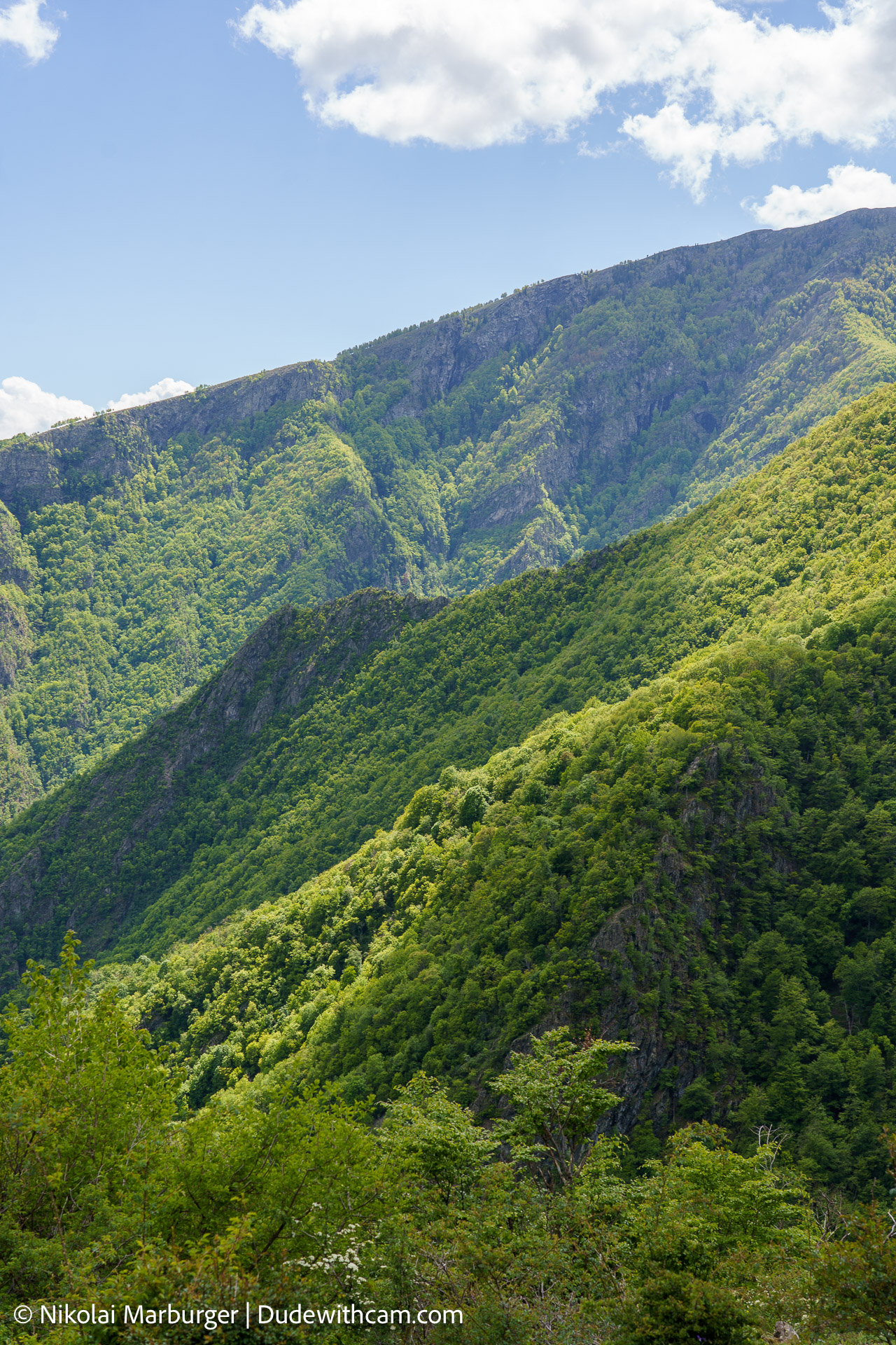 The hike to the Ray Hut is quite popular for the locals. It is a 20,5km hike back and forth and has an incline of 1050m.